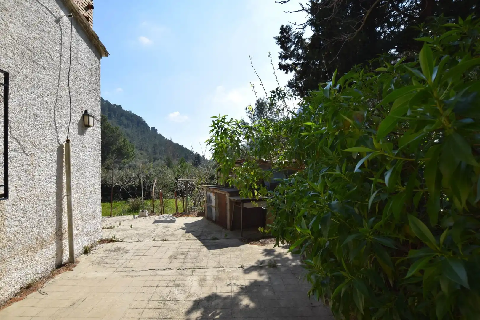 Jardí de Casa o xalet en venda en Alfara de Carles amb Terrassa, Traster i Piscina