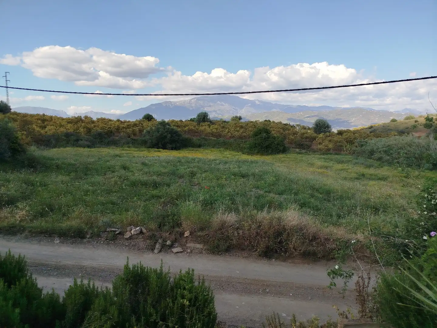 Finca rústica en venda en Benamocarra amb Jardí privat