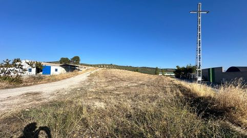 FINCA RÚSTICA AGRARIA EN MOCLÍN, GRANADA., immagine 2