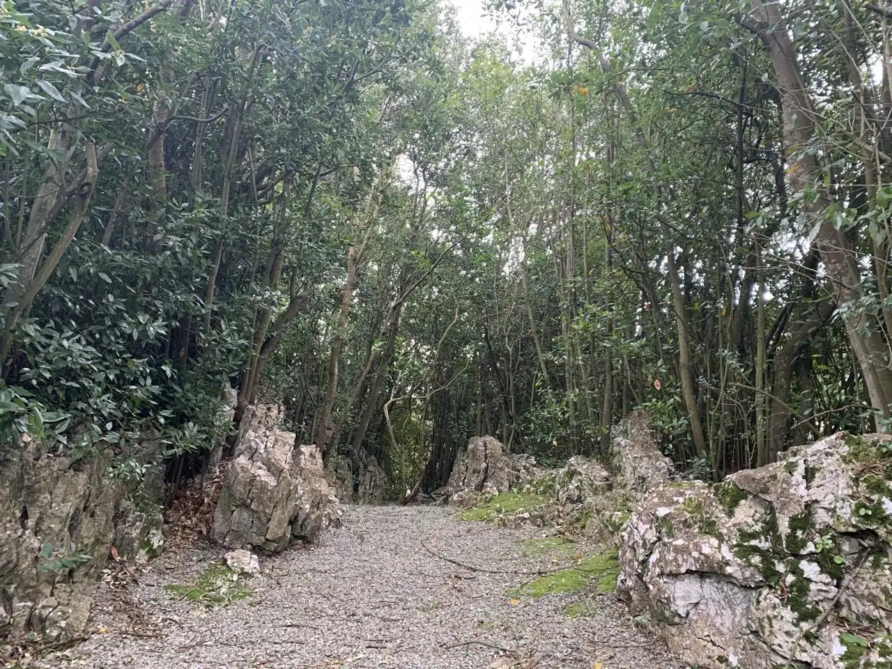 Casa o chalet en venta en Arnuero