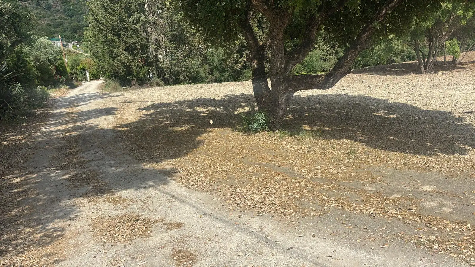 Rural land for sale in Camino Nicola, imagen 3