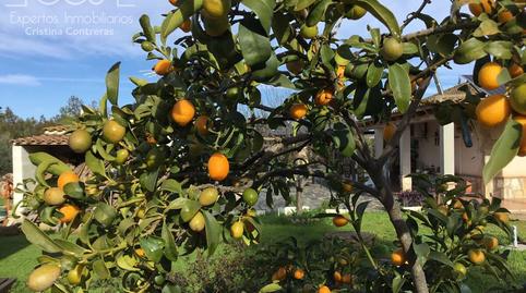 Photo 4 of House or chalet for sale in Tiro de Línea,  Sevilla Capital