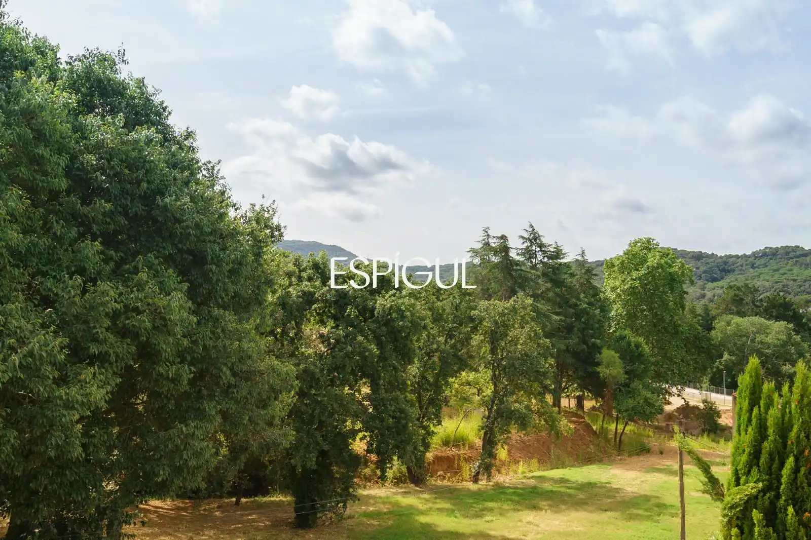 House with terrace for sale in Salvador Espriu, imagen 33