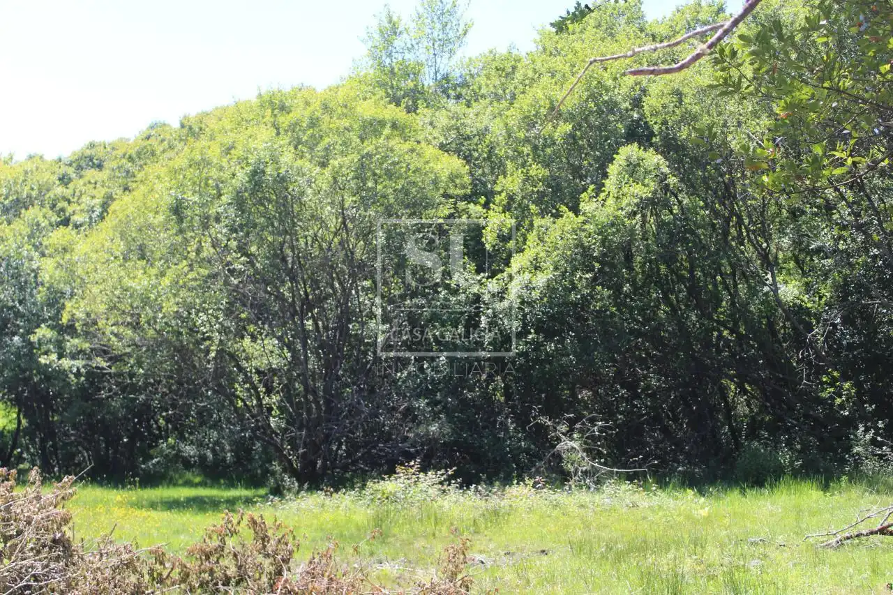 Xalet amb jardí en venda a Tomiño, imagen 5