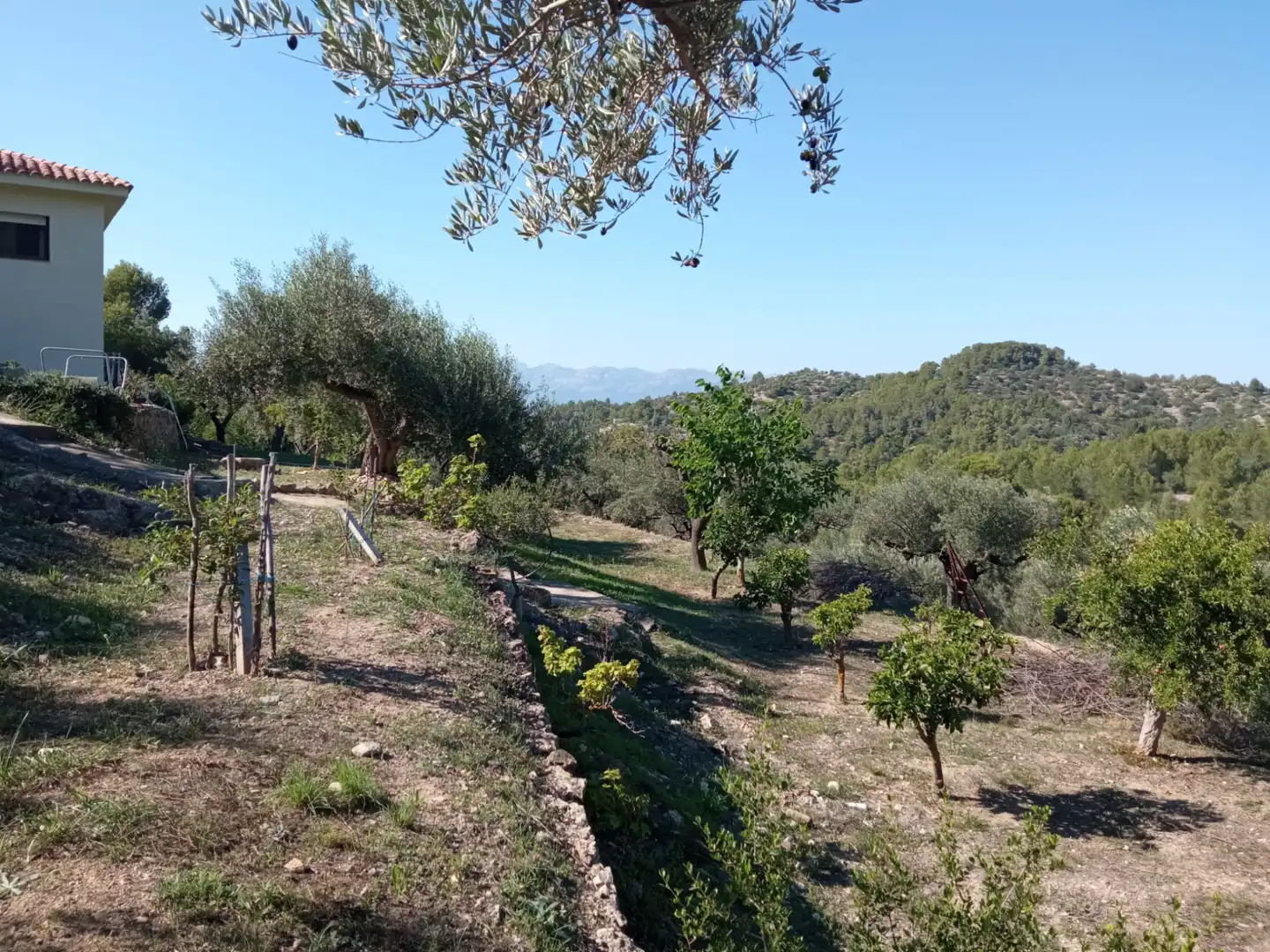 Finca rústica en venda en Tortosa amb Aire condicionat, Calefacció i Jardí privat