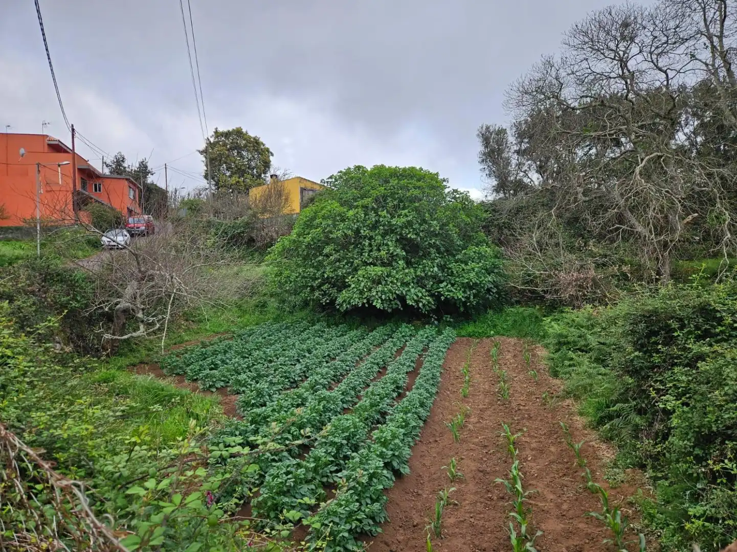 Terreno en venta en Polígono 15 Parcela 55 FUENTE RAVELO. SAUZAL S.C, El Sauzal