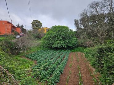 Terreno rústico en venta en Polígono 15 Parcela 55 FUENTE RAVELO. SAUZAL S.C