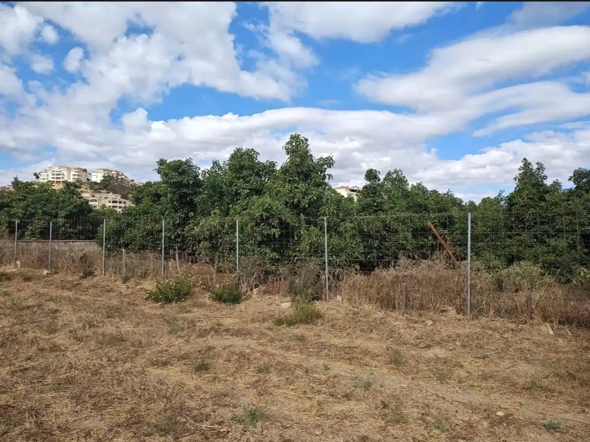 Terreni e lotti in vendita a Rincón del hinojal 0, imagen 3