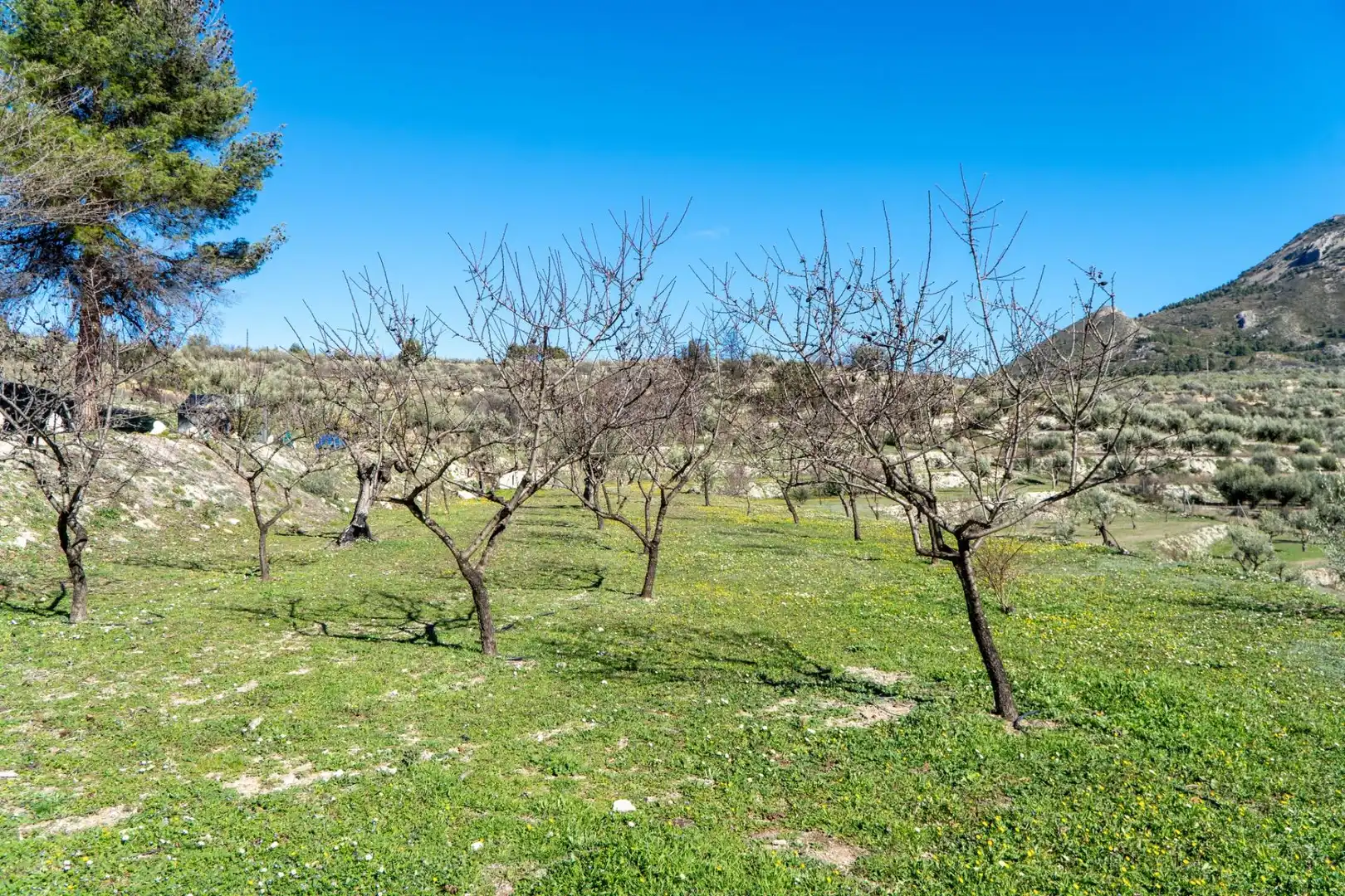 Country homes for sale in Penàguila  with Heating, Private garden and Terrace