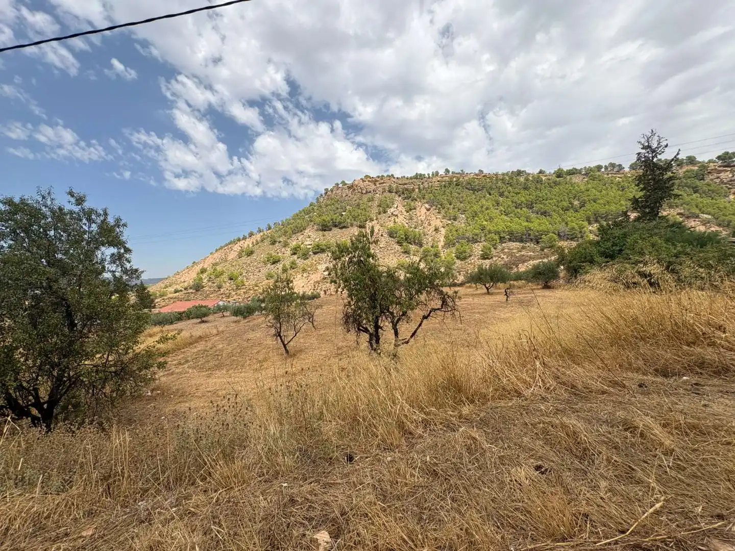 Terrenos y solares en venta en Pliego