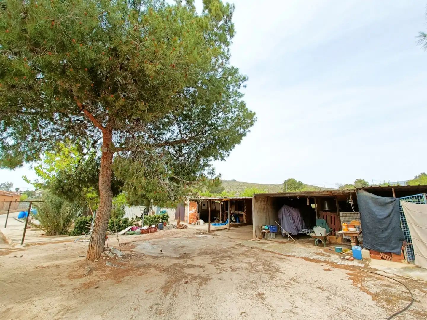 Villa in vendita a Hondón de los Frailes, imagen 32