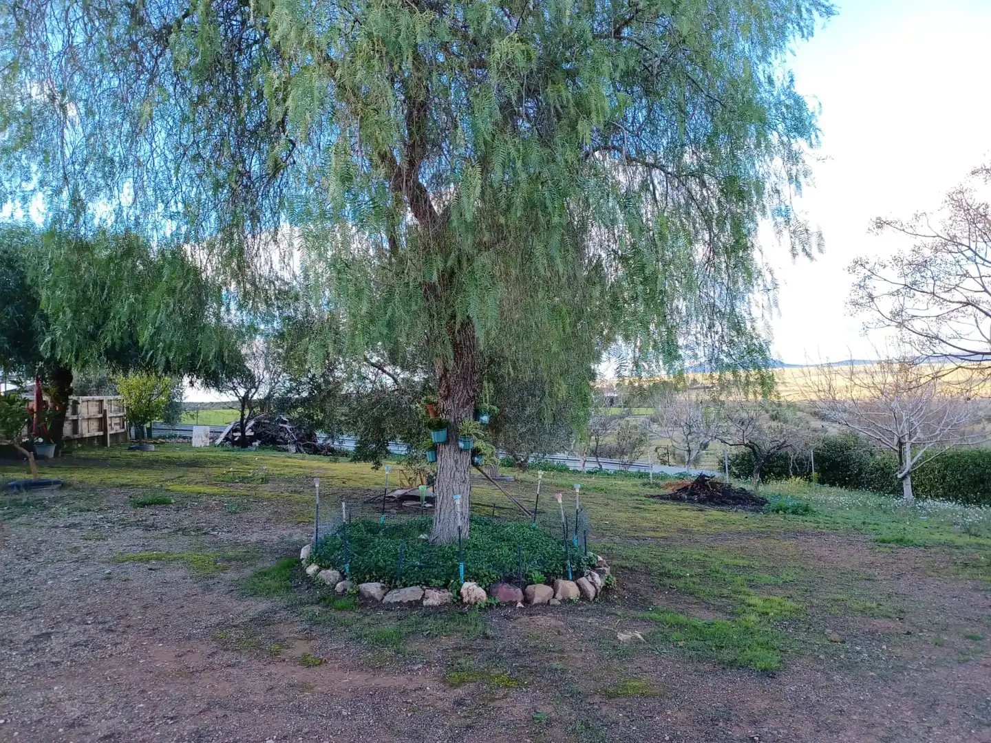 Xalet amb piscina en venda a EX-337, imagen 18
