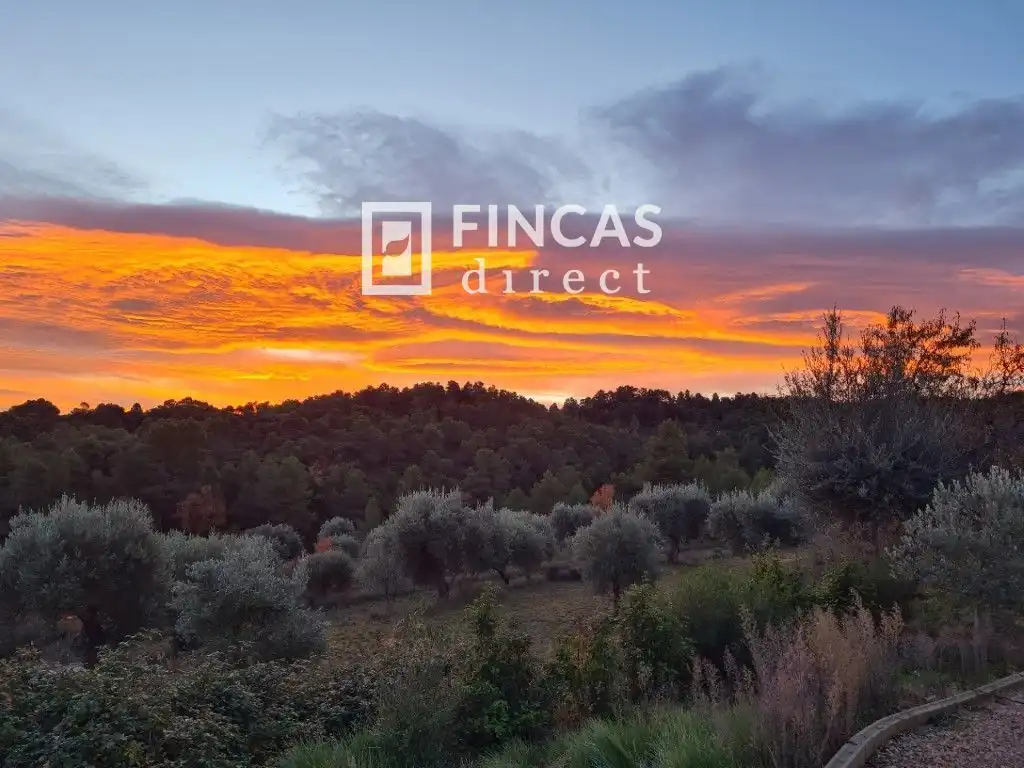 Finca rústica en venda a V6P8+CX, Cretas