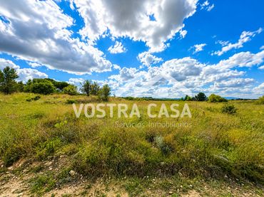 Terreno rustico in vendita a CAÑADA DE JACINTO