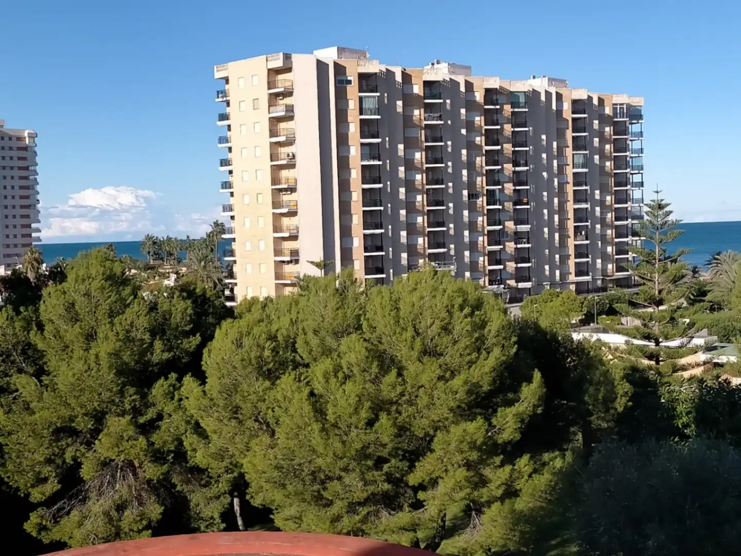 Apartment mit Terrasse zum Verkauf in Playa de Gandia, imagen 10