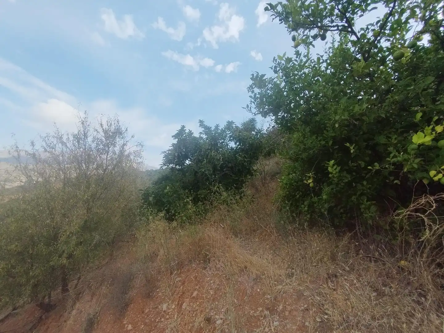 Casa rústica con terraza en venta en Camino Guájar-Faragüit, imagen 3