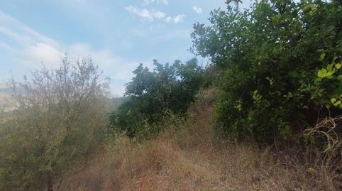 Foto 3 de Finca rústica en venta en Camino Guájar-faragüit, Los Guájares, Granada