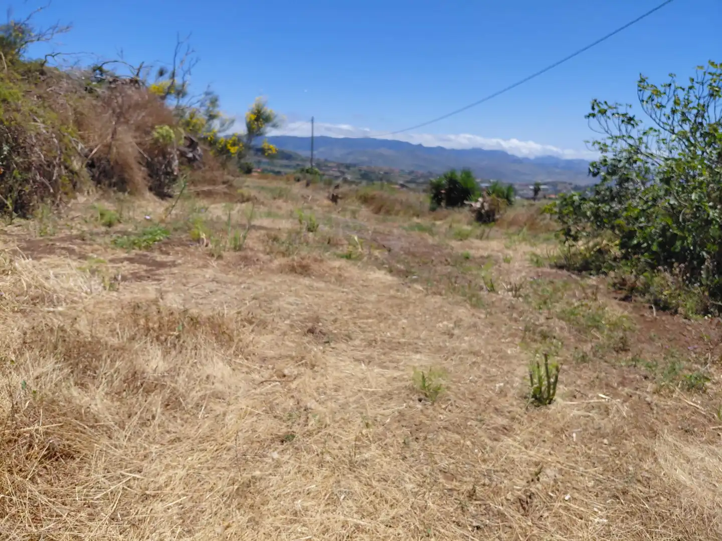 Terreny en venda en El Rosario