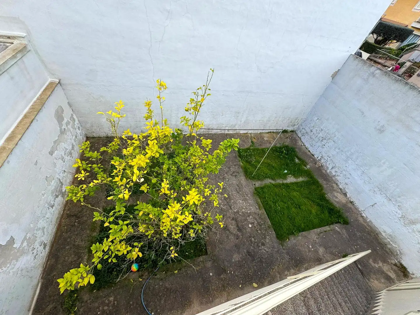 Garden of Commercial properties for sale in Inca