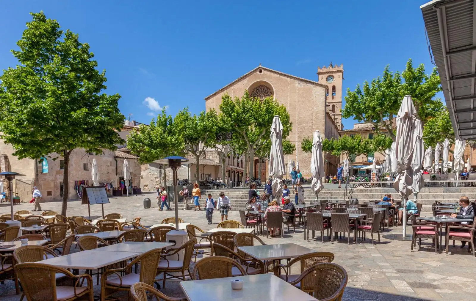 Terreno rustico in vendita a Pollença Poble, imagen 9