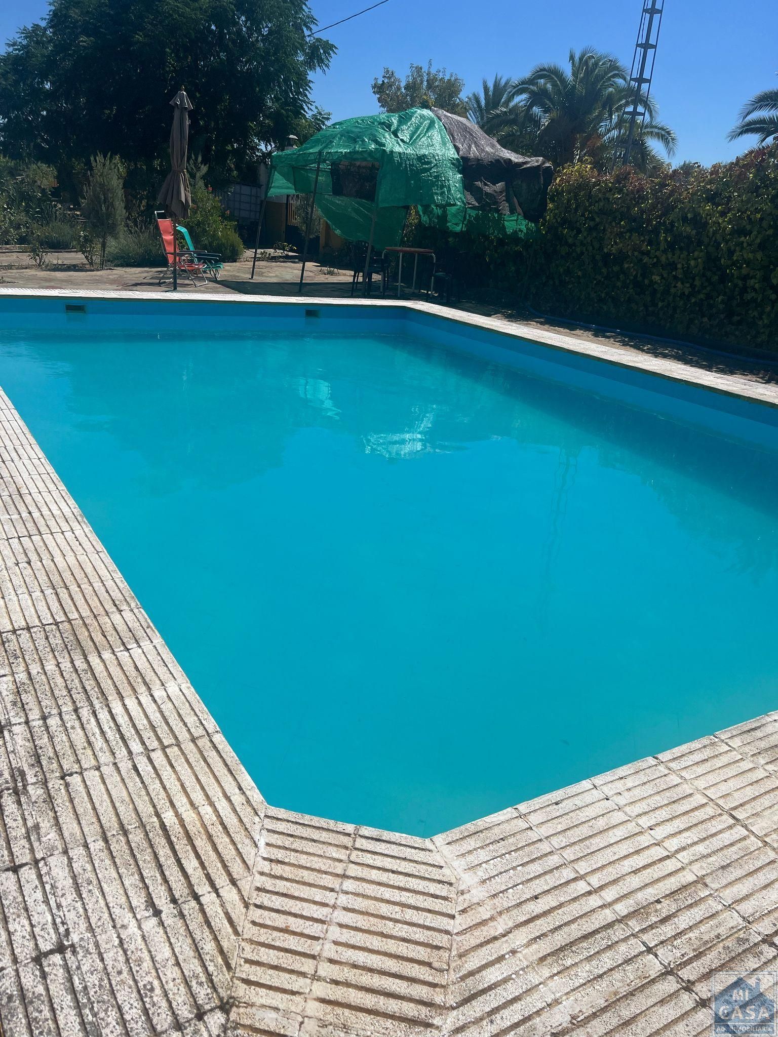 Piscina de Casa o xalet en venda en Valverde de Mérida amb Piscina