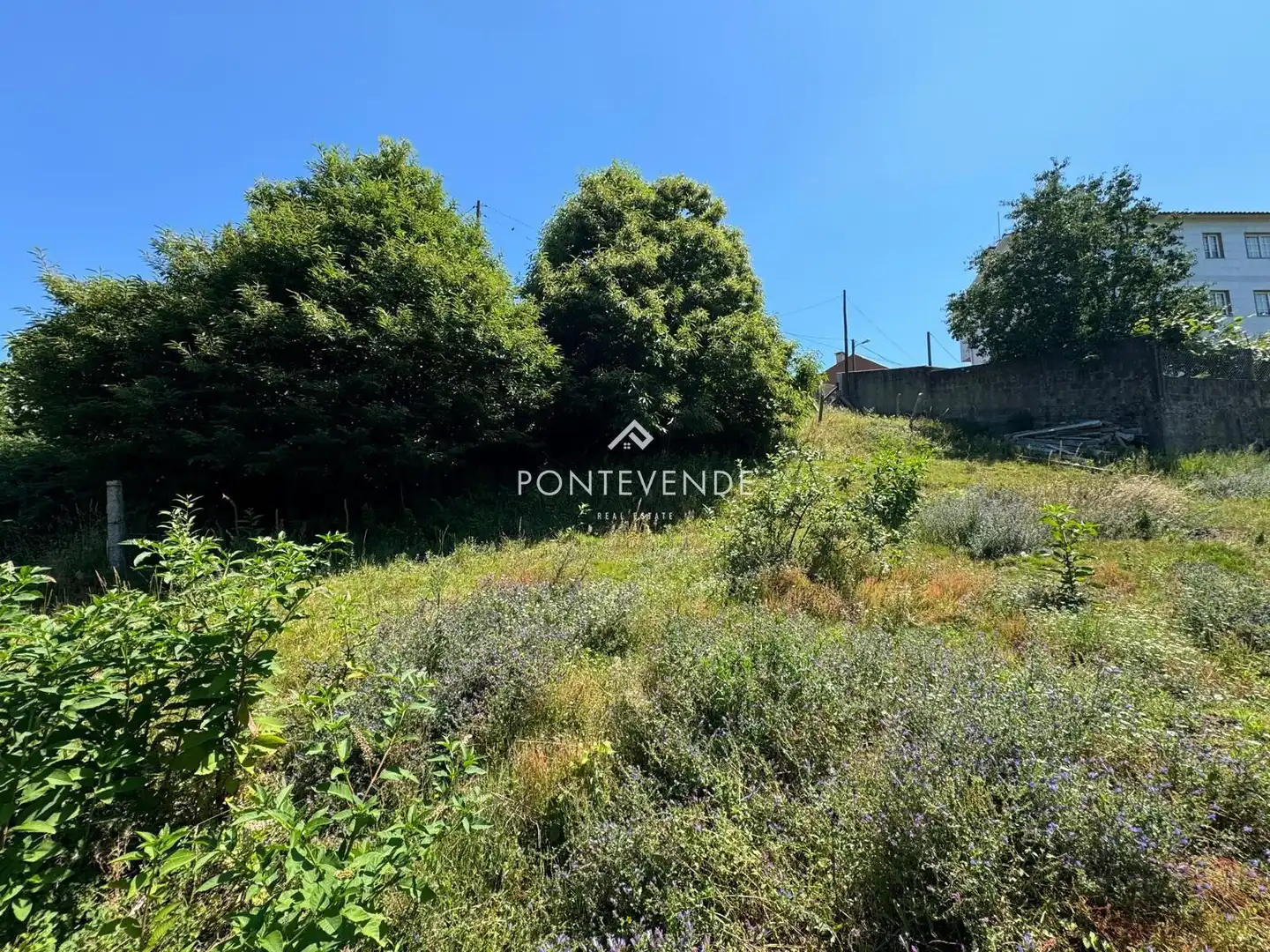 Terreno rustico in vendita a Moreira (A)-San Xulian, imagen 9