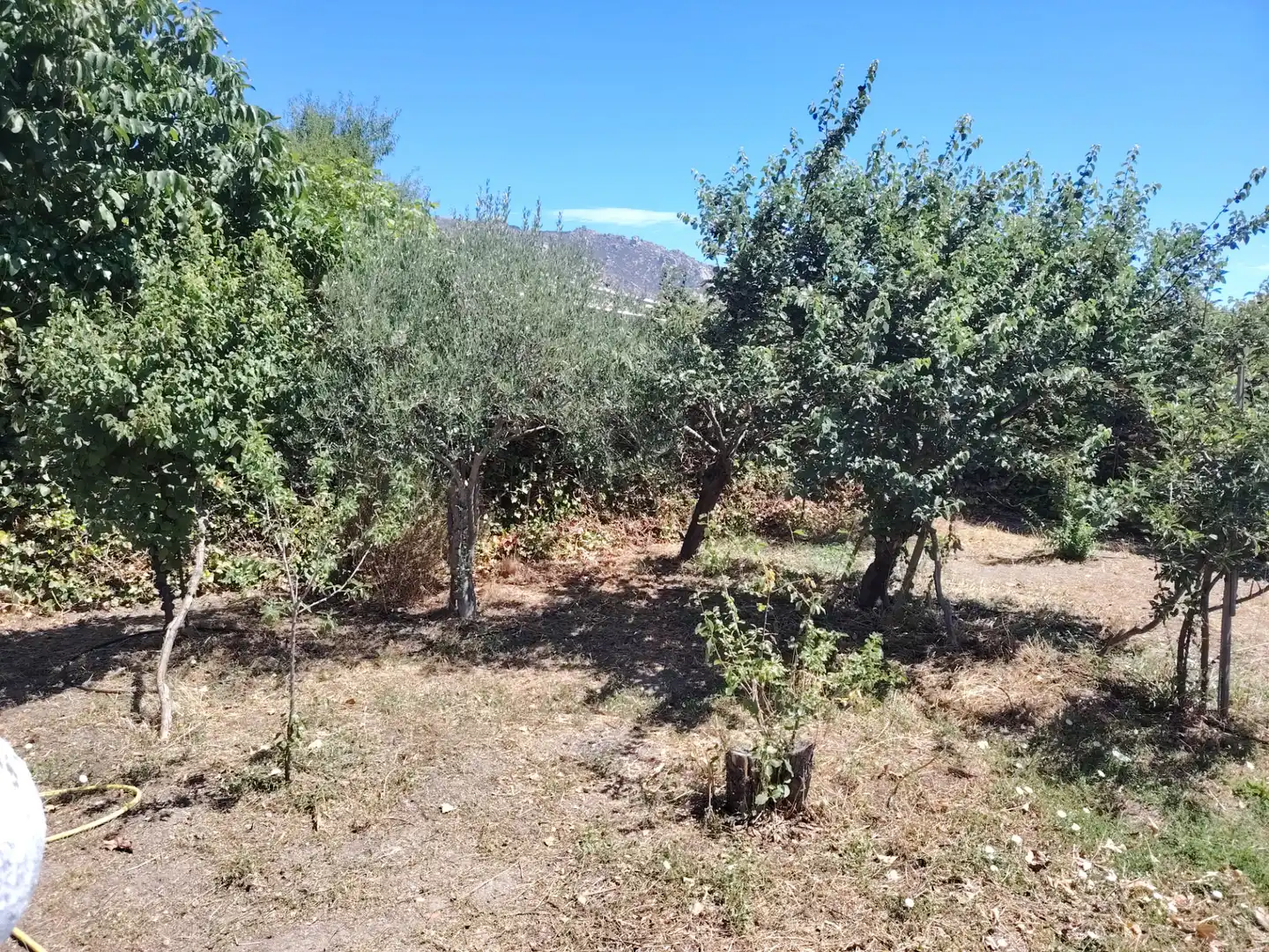 Casa o chalet en venta en El Boalo - Cerceda – Mataelpino con Jardín privado, Piscina y Amueblado