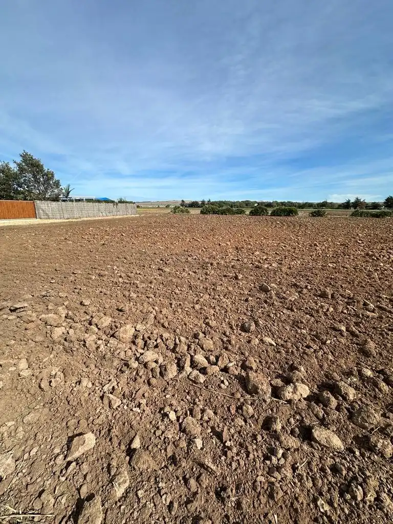 Terreni e lotti in vendita a El Palmar, imagen 8