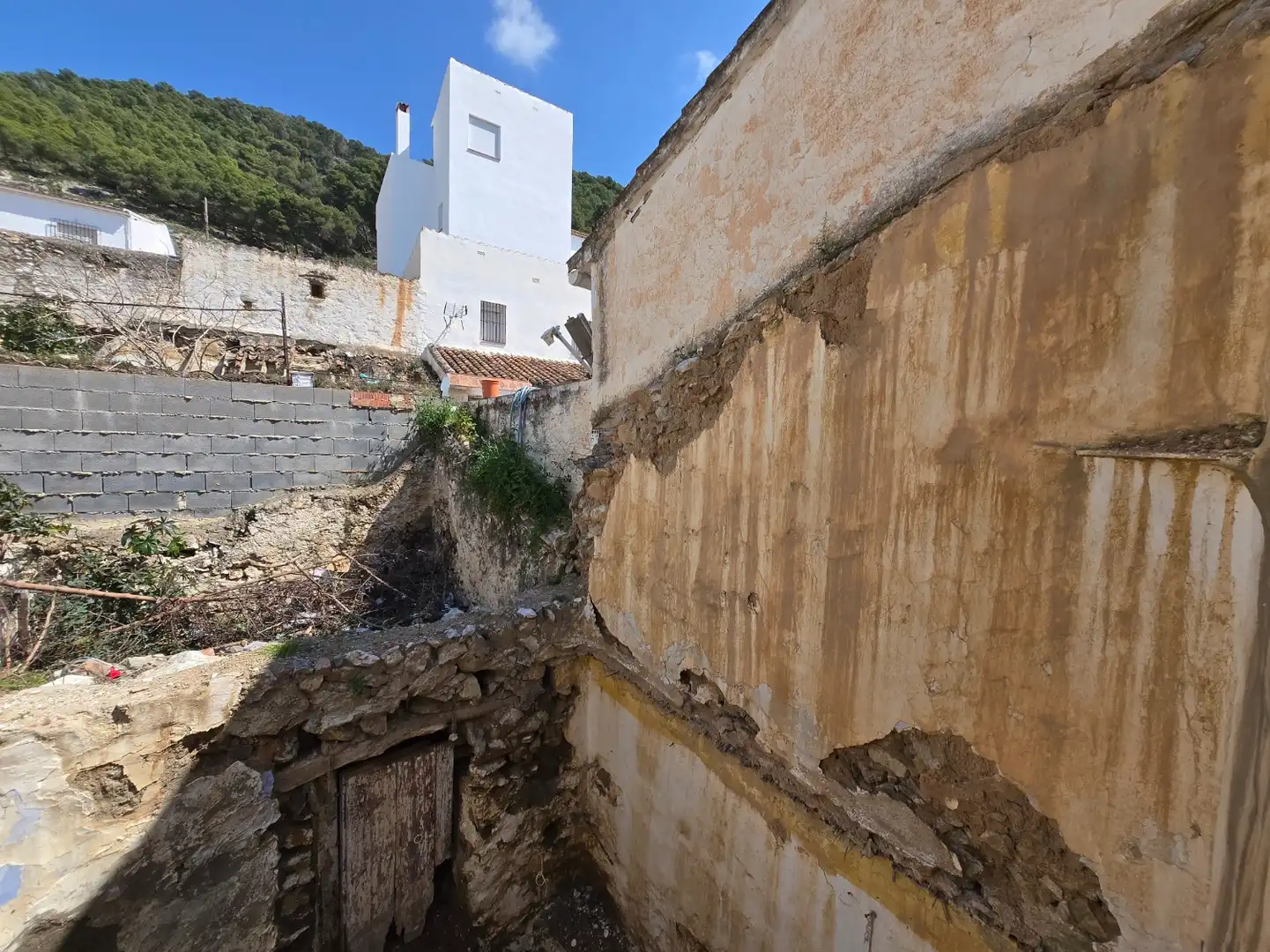 Vista exterior de Finca rústica en venta en Alcaucín