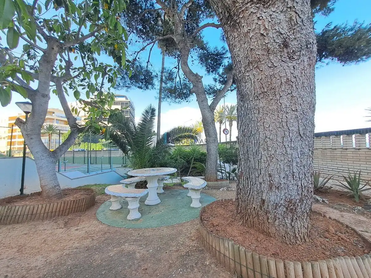 Apartment with pool for sale in Avenida Ferrandis Salvador 162, imagen 36