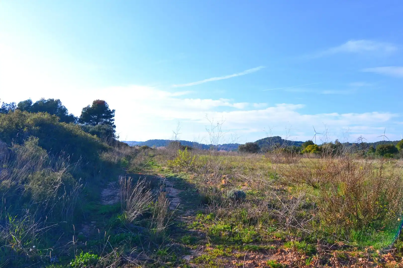 Rural land for sale in Gandesa, imagen 49