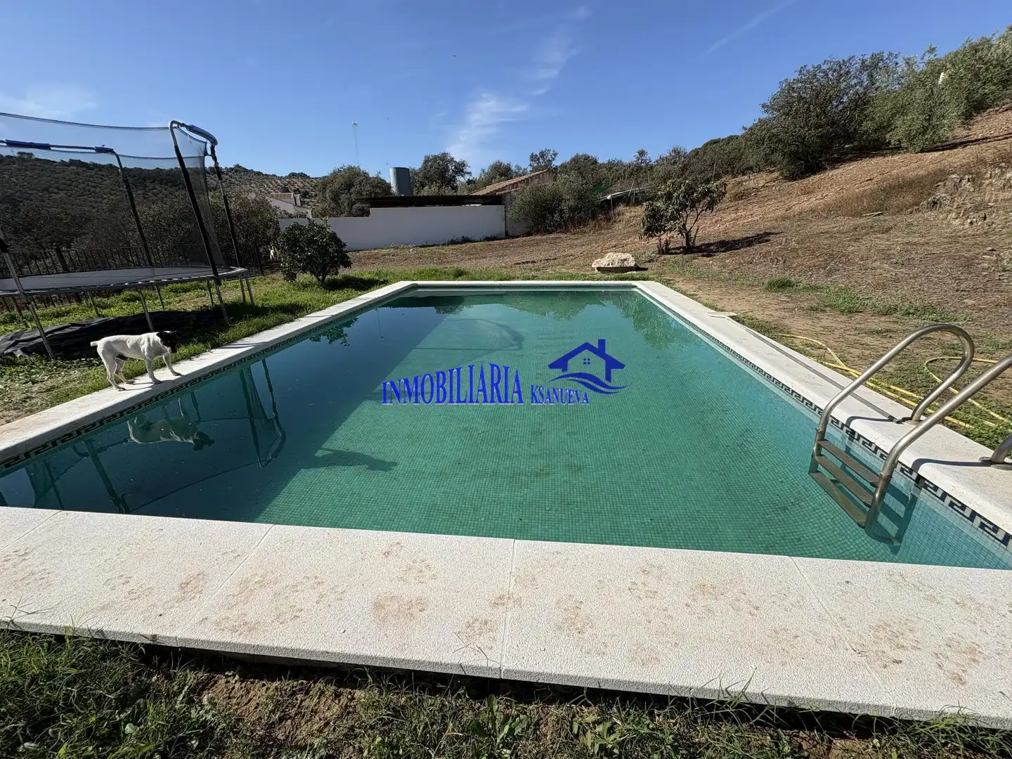 Piscina de Finca rústica en venta en Montoro con Aire acondicionado, Calefacción y Trastero