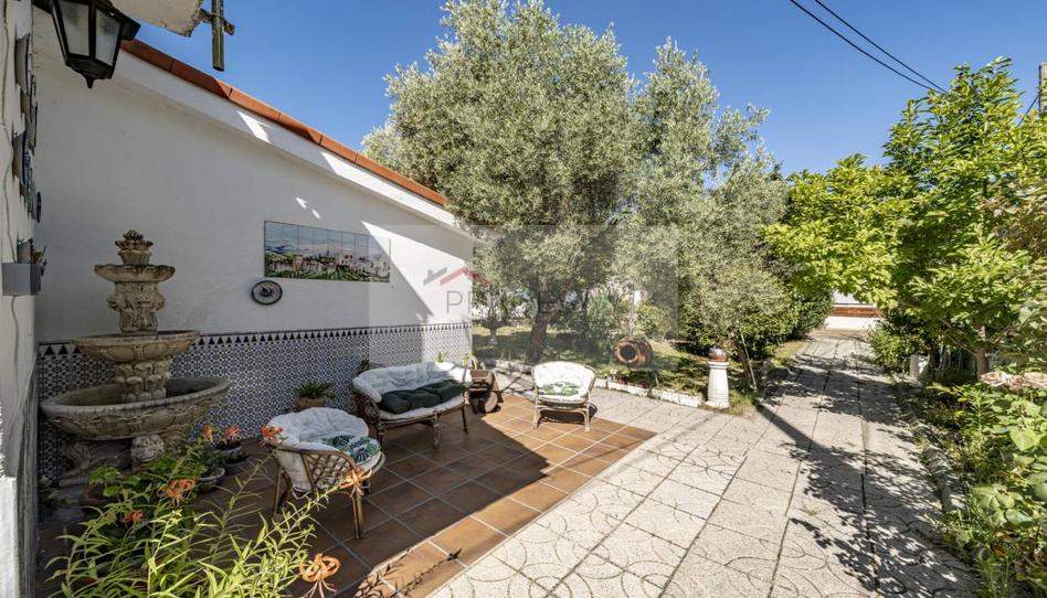 Photo 1 of House or chalet for sale in Alpedrete, Madrid