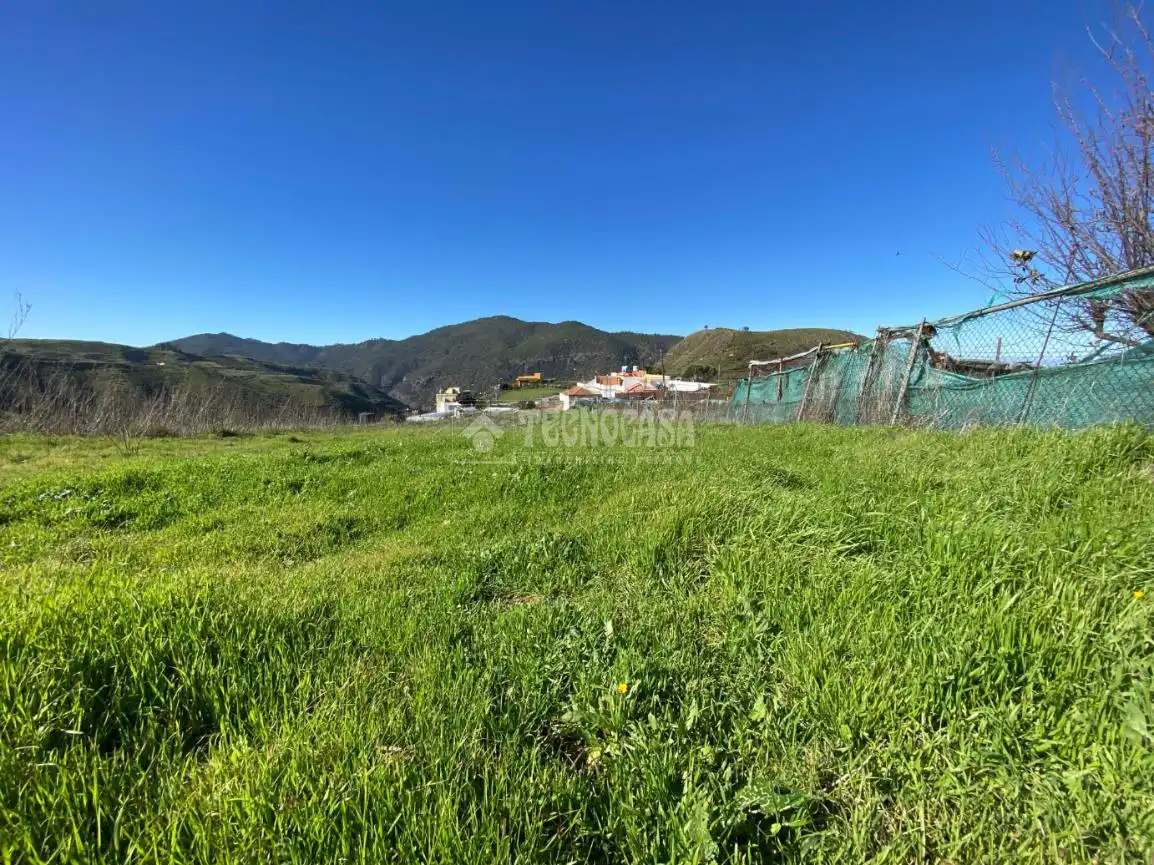 Terreny rústic en venda a Camino del Palo, imagen 7