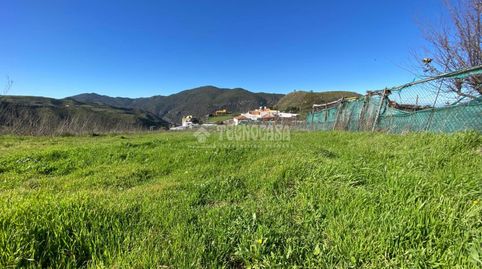 Foto 3 de Terreno en venta en Camino del Palo, Gáldar pueblo, Gáldar