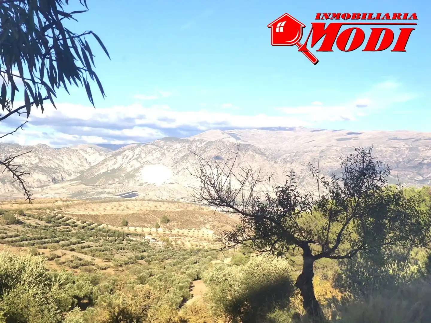 Vista exterior de Finca rústica en venda en Villamena amb Jardí privat