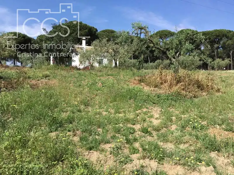Finca rústica en venda en Almonte amb Terrassa i Moblat