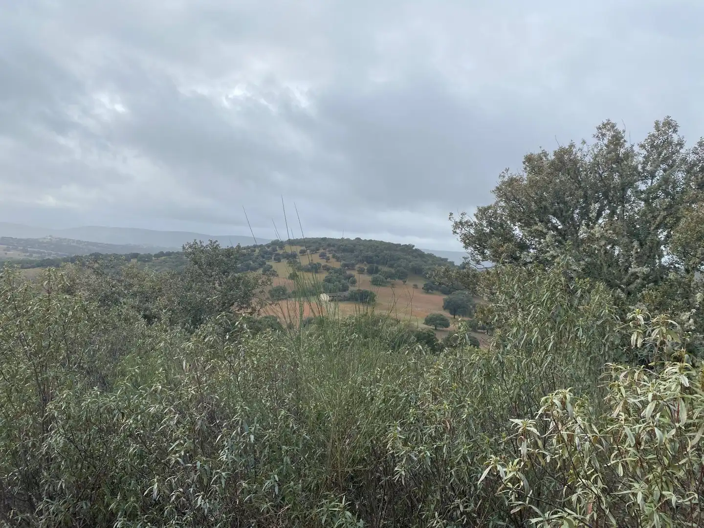 Terreno en venta en Anchuras