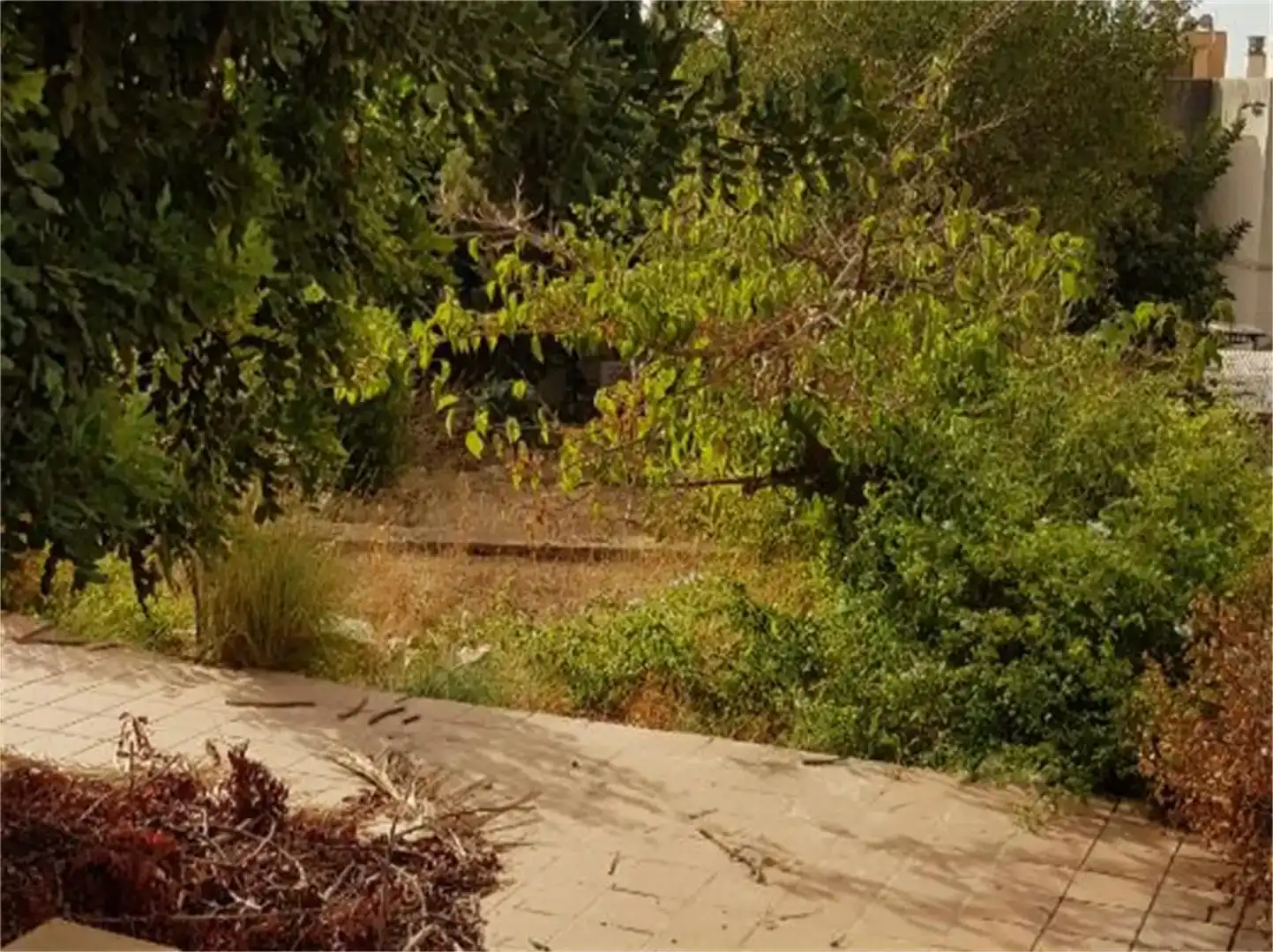 Casa o chalet en venta en  Palma de Mallorca