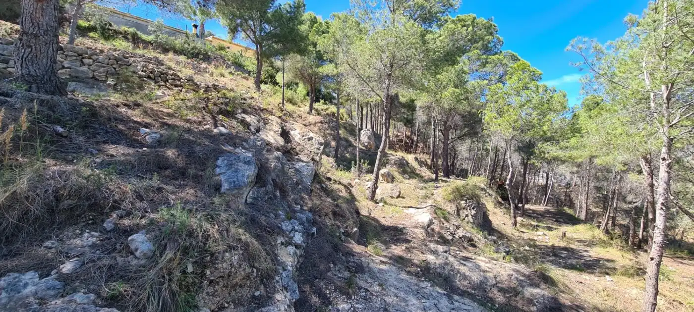 Residential land for sale in Oltamar - Cucarres, imagen 9