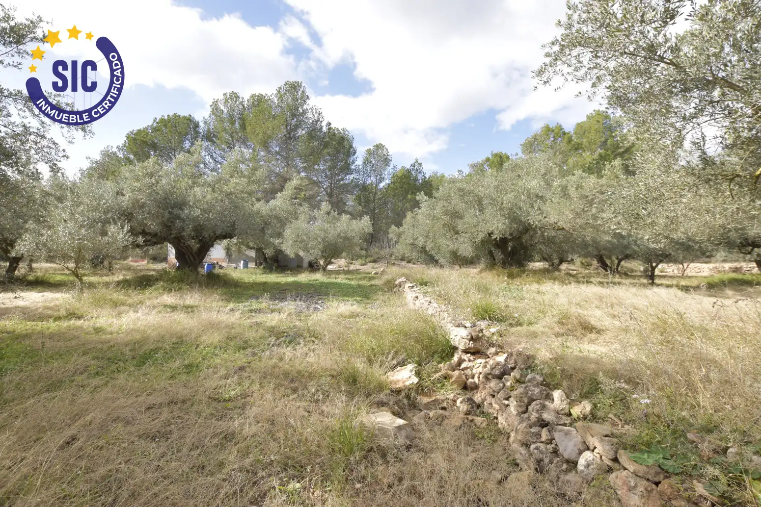Land for sale in Jérica