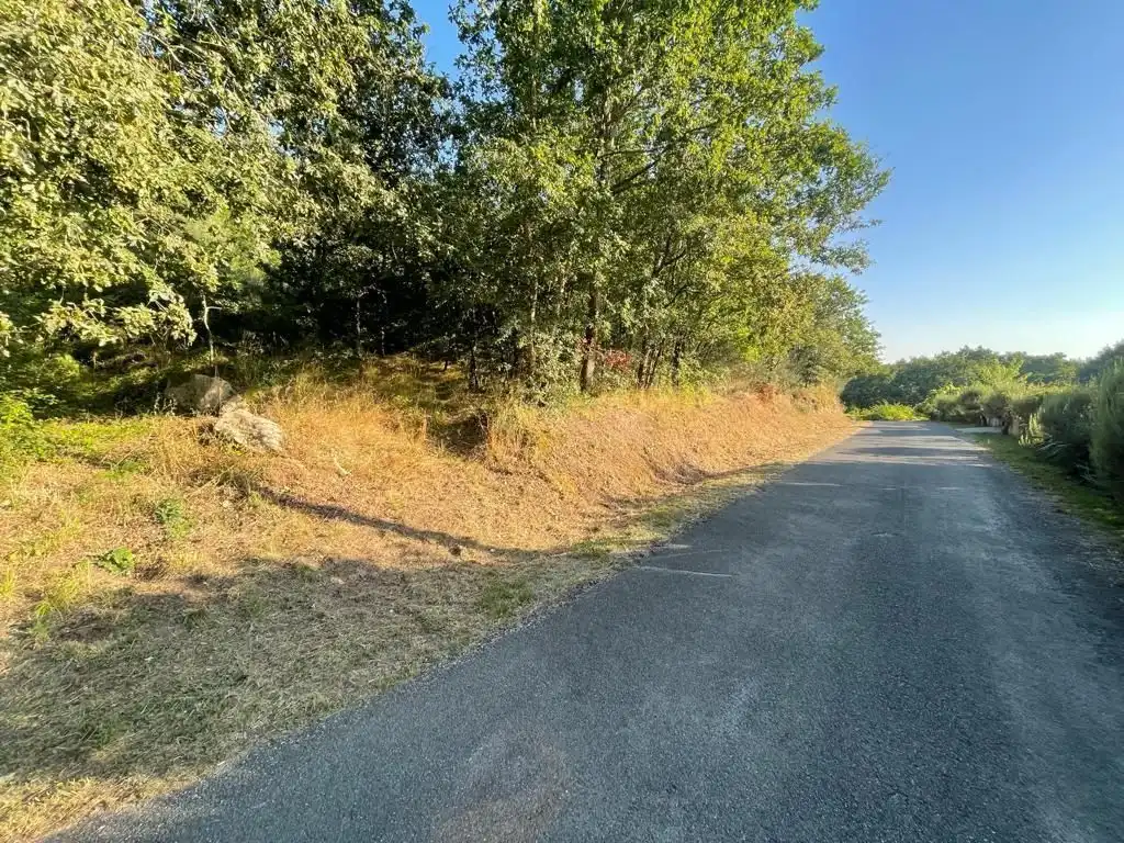 Residential for sale in O Pereiro de Aguiar