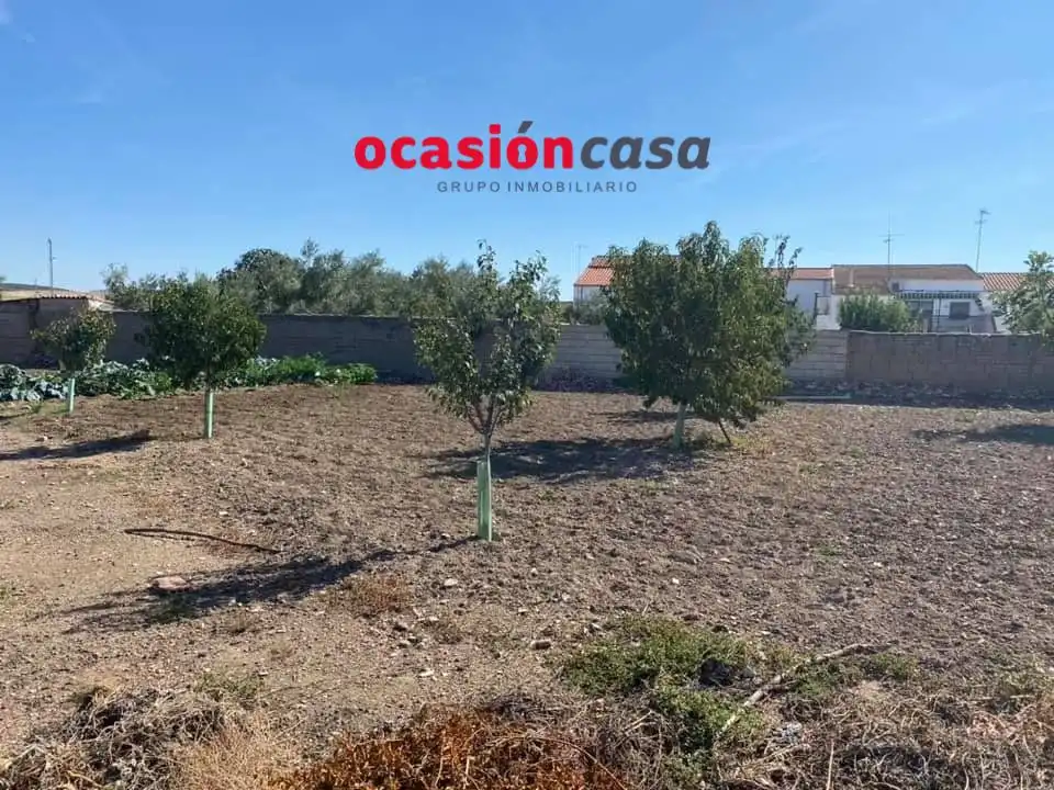 Lands and plots for sale in Belmez, imagen 4