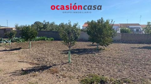 SOLAR URBANO DE 1.289 M2 EN BELMEZ, imatge 4