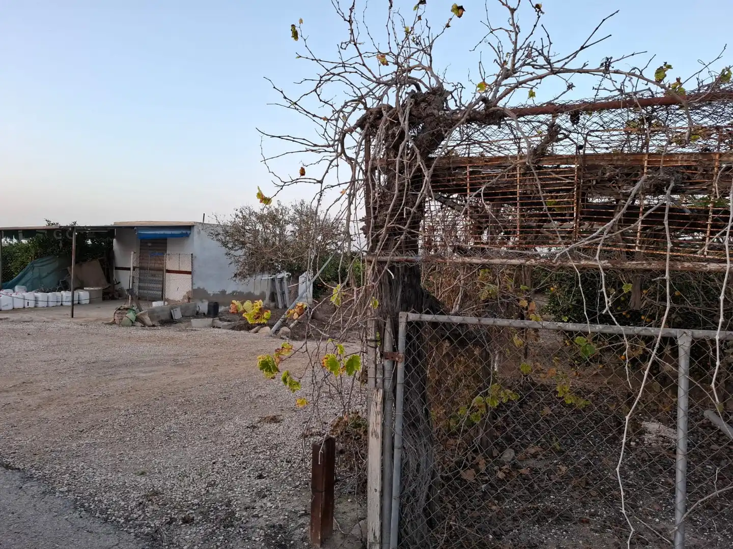 Terreno rústico en venta en Puerto Deportivo, imagen 3
