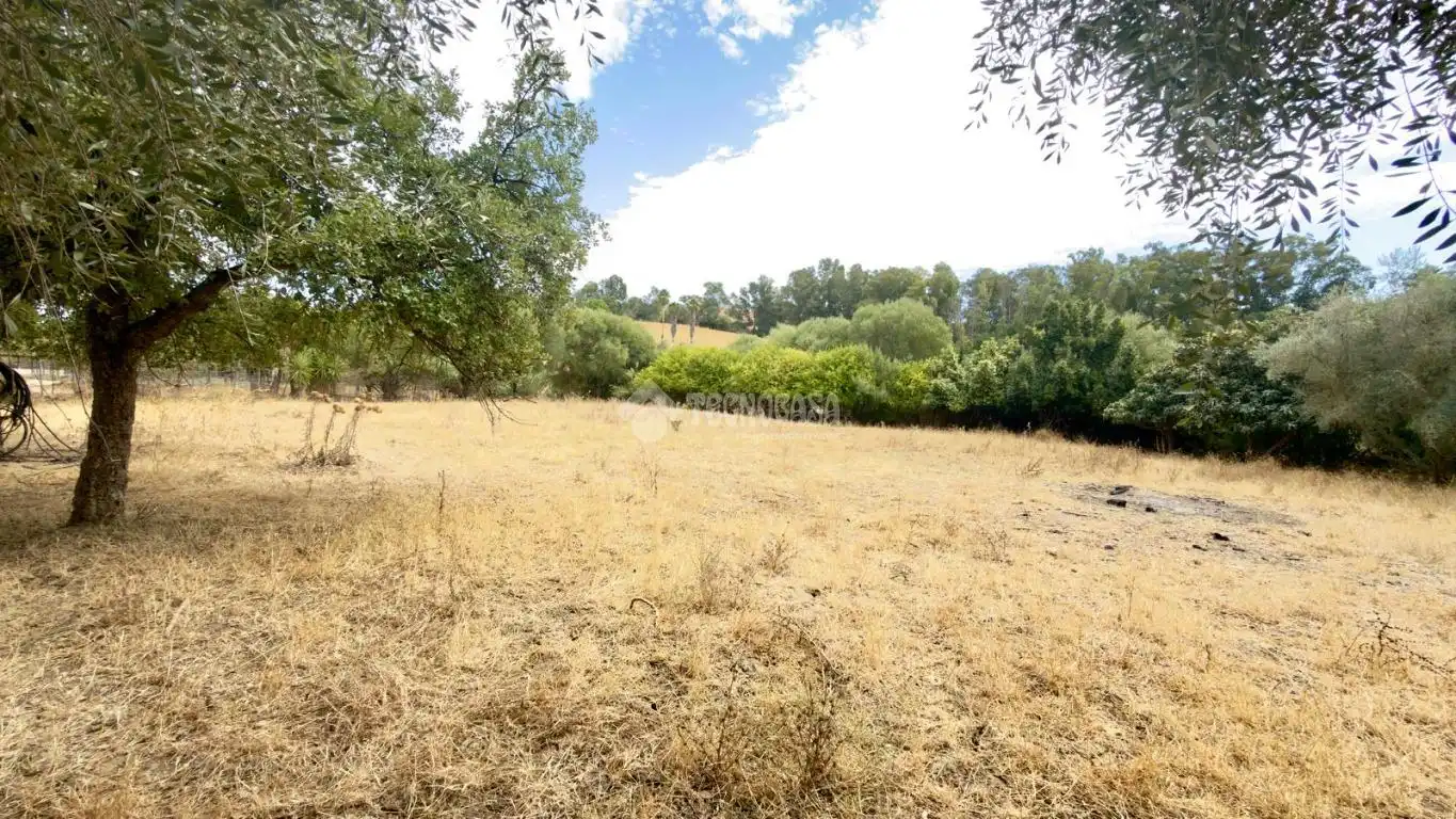 Maison rustique à vendre à Jimena de la Frontera, imagen 20