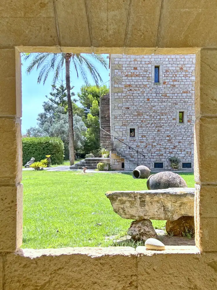 Jardí de Casa o xalet en venda en Ses Salines amb Aire condicionat, Calefacció i Terrassa