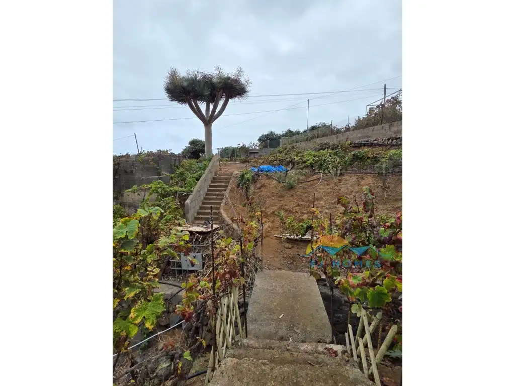 Garden of Houses for sale in La Orotava