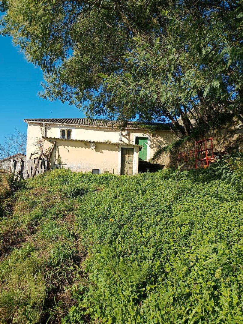 Vista exterior de Casa o xalet en venda en Ferrol amb Jardí privat