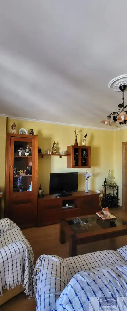 Sala d'estar de Pis en venda en Piedrahíta amb Calefacció, Terrassa i Traster